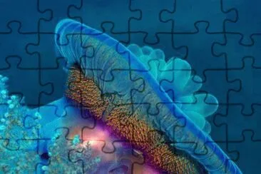 imagens jigsaw puzzle