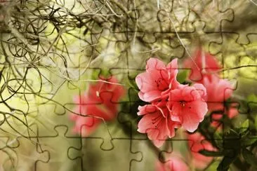פאזל של Blumen