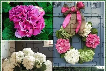 Blumen