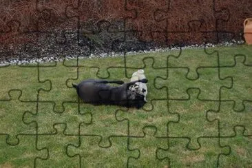 Theres Fahrni jigsaw puzzle
