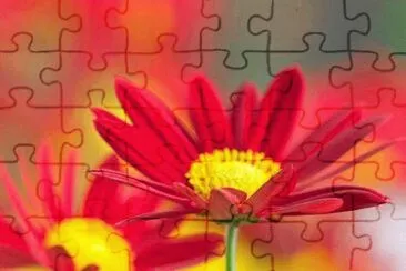imagens jigsaw puzzle