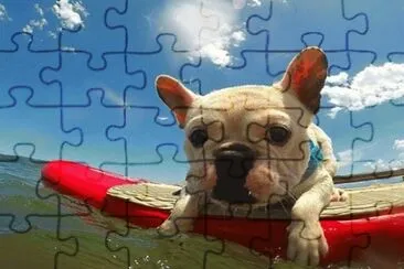 19 jigsaw puzzle