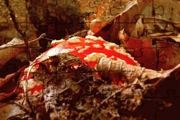 125 jigsaw puzzle