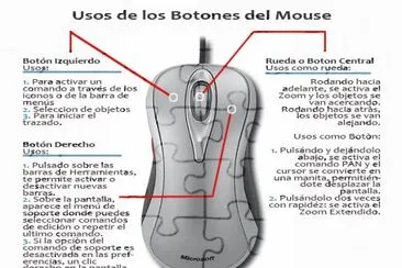 פאזל של PARTES DEL MOUSE