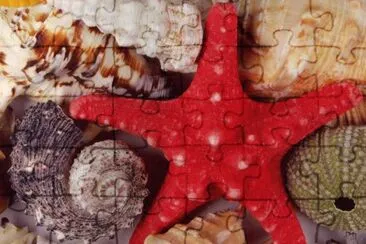 Vacances jigsaw puzzle