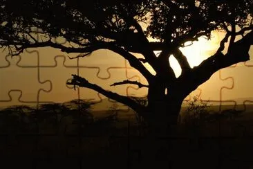 PUESTA DE SOL jigsaw puzzle