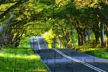 144 jigsaw puzzle