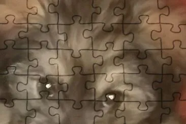 Mio papito jigsaw puzzle