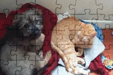 beba y rabito jigsaw puzzle