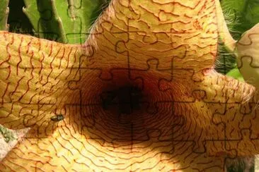 atracciÃ³n fatal jigsaw puzzle