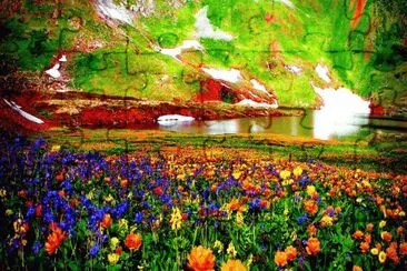 Beautiful Mountain Flowers-Art