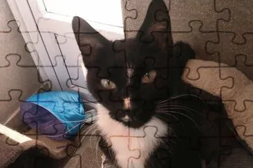 Bounty jigsaw puzzle