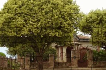 Casa antigua en Los Surgentes. CÃ³rdoba. Argentina jigsaw puzzle