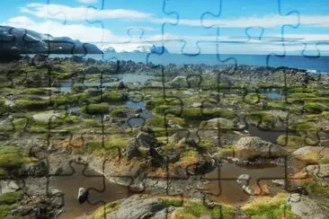 En la AntÃ¡rtida Argentina jigsaw puzzle