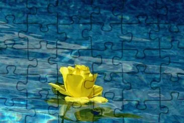 imagens jigsaw puzzle