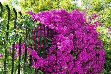 imagens jigsaw puzzle
