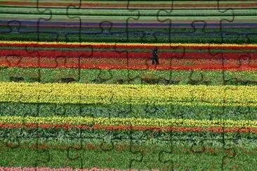 166 jigsaw puzzle