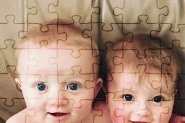 twins