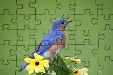 imagens jigsaw puzzle
