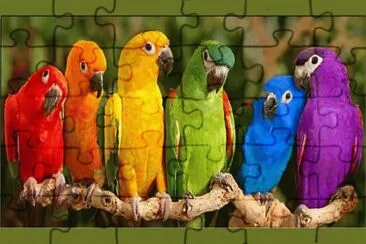 Papagei jigsaw puzzle
