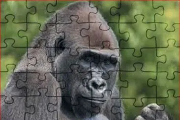 GORILA jigsaw puzzle