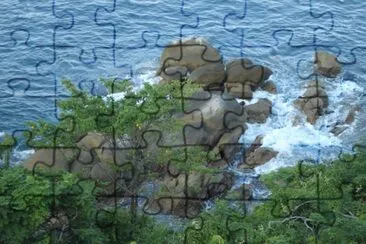 selva y mar
