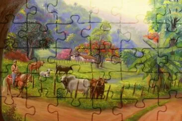 campo jigsaw puzzle