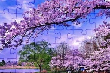 Lilas jigsaw puzzle
