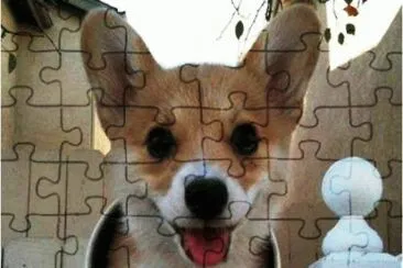 r4 jigsaw puzzle