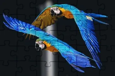 פאזל של GUACAMAYAS 3