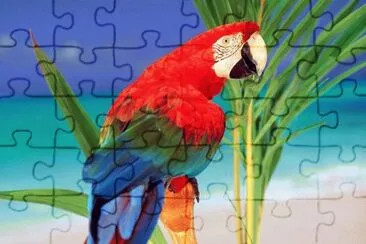 פאזל של GUACAMAYAS 2
