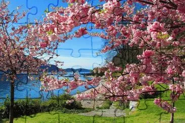 primavera