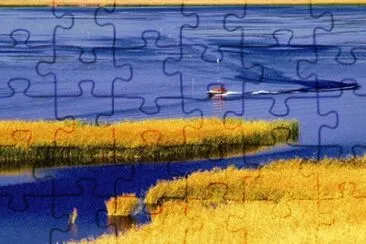 NATUREZA jigsaw puzzle