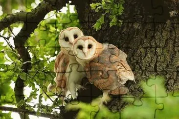imagens jigsaw puzzle