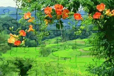 imagens jigsaw puzzle