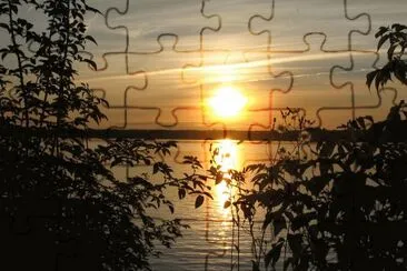 Sunset between two bushes