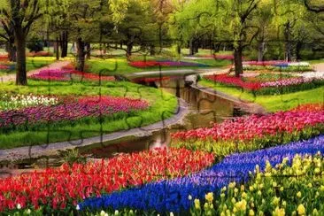 jardin