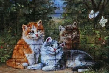 gatinhos
