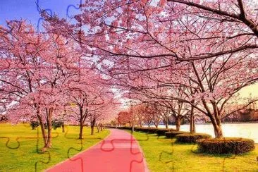 NATUREZA