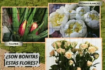 Â¿SON BONITAS ESTAS FLORES? jigsaw puzzle