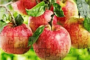 sept 19 jigsaw puzzle