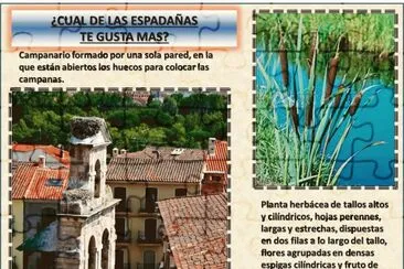Â¿CUAL DE LAS ESPADAÃ‘AS TE GUSTA MAS? jigsaw puzzle