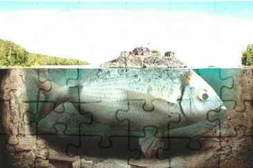 135