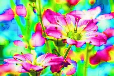 Bunt