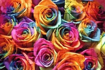 Bunt