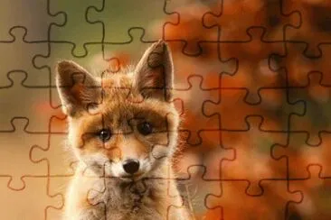 (04) Raposa Vermelha jigsaw puzzle