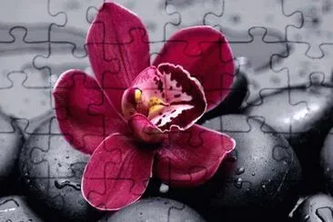 imagens jigsaw puzzle