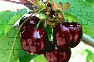 imagens jigsaw puzzle