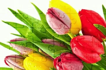 imagens jigsaw puzzle