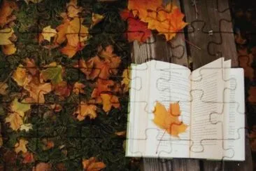 libri